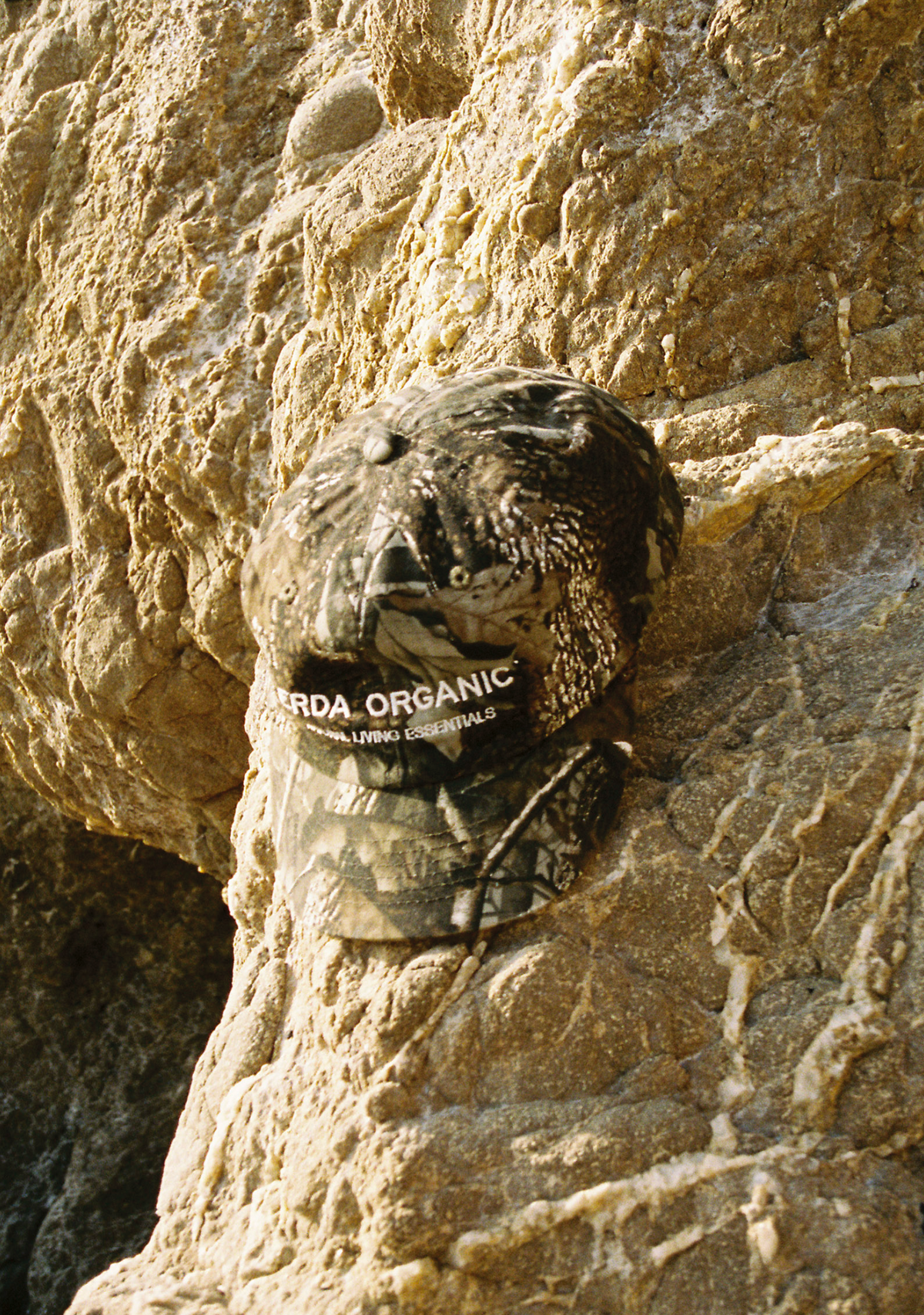 Two images: one of a person with a bag on a beach, the other of a lion statue on a rock.