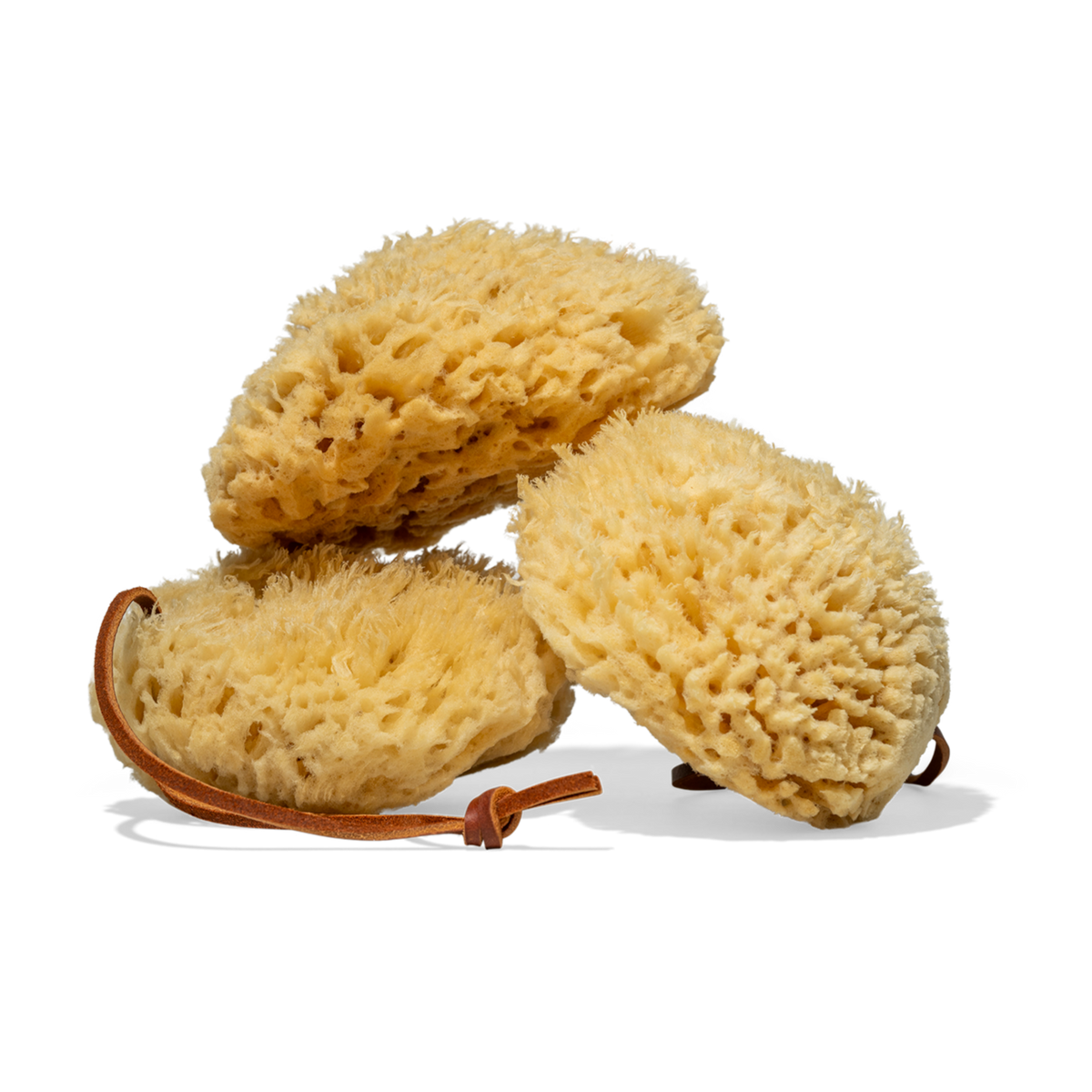 Erda Premium Sea Sponge set of three - natural deep-sea wool sponge for gentle exfoliation and skincare