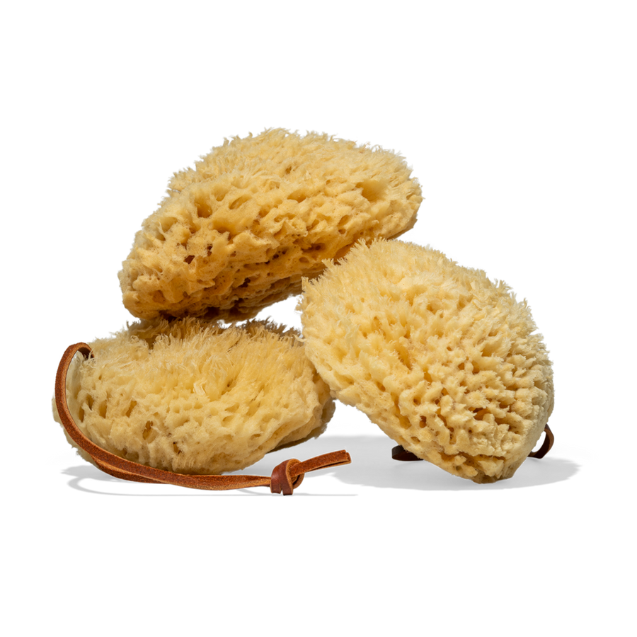 Erda Premium Sea Sponge set of three - natural deep-sea wool sponge for gentle exfoliation and skincare