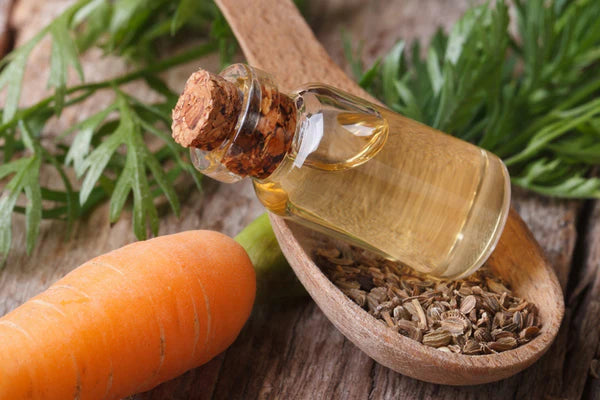 Organic Carrot Seed Oil