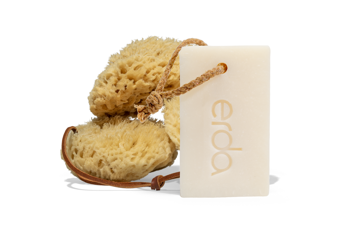 Soap & Sponge Bundle
