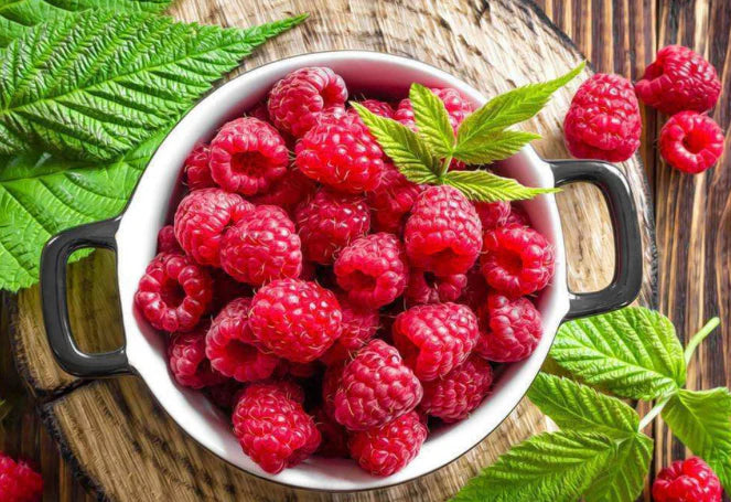 Organic Red Raspberry Seed Oil