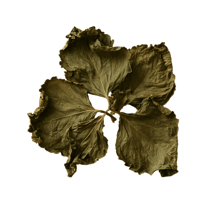 Patchouli