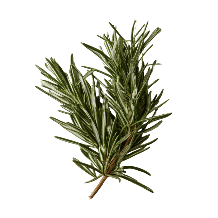 Rosemary