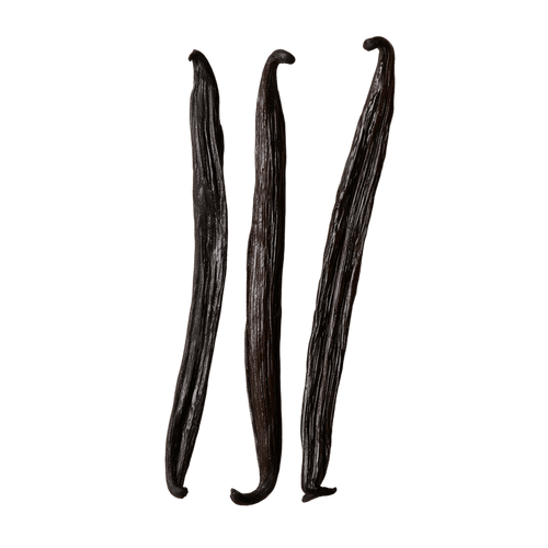Vanilla Essential Oil